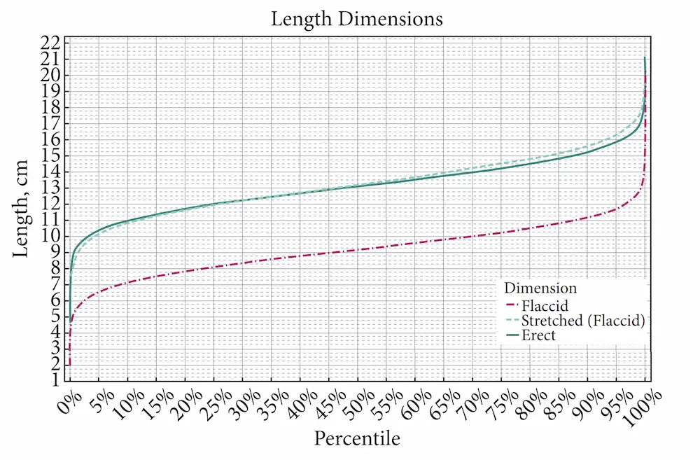 Average penis length graph